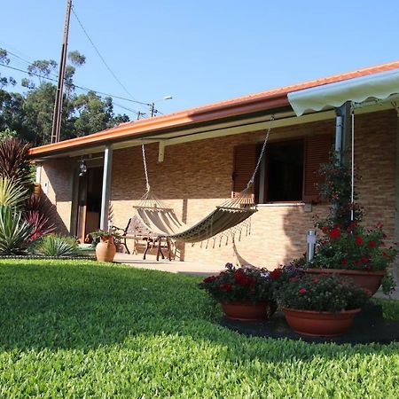 Casa Flor Da Laranjeira Guest House ปอนเตเดอลิมา ภายนอก รูปภาพ
